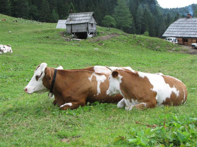 Triglav 24. in 25.7.2009-Tomaž - foto povečava