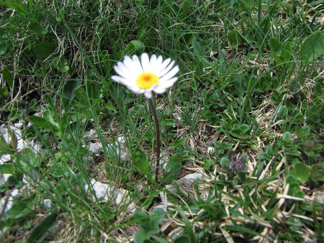 Triglav 24. in 25.7.2009-Tomaž - foto povečava