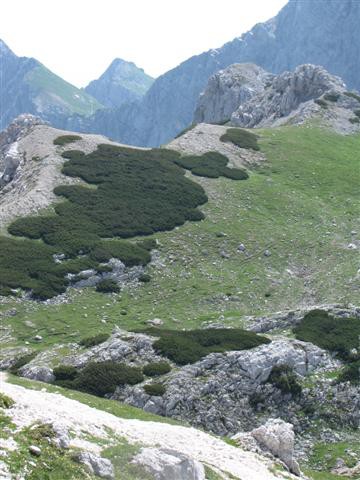 Triglav 24. in 25.7.2009-Tomaž - foto