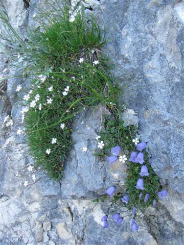 Triglav 24. in 25.7.2009-Tomaž - foto povečava