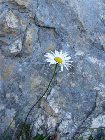 Triglav 24. in 25.7.2009-Tomaž - foto