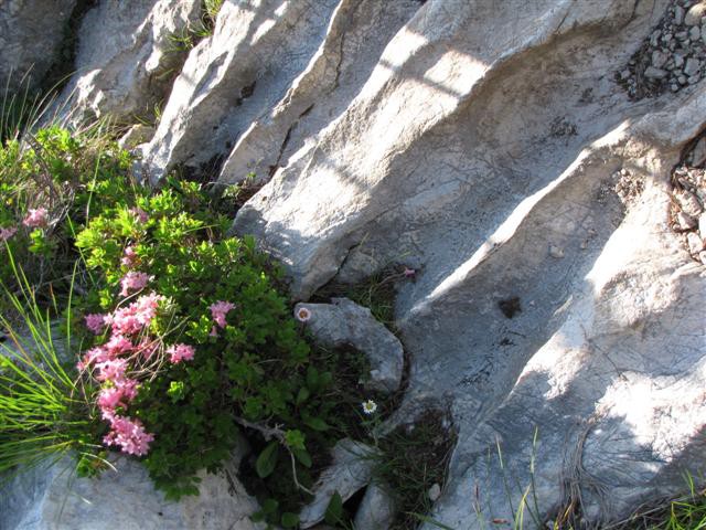 Triglav 24. in 25.7.2009-Tomaž - foto povečava