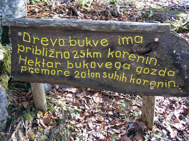 Mirna gora 27.2.2010 - foto