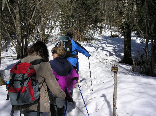 Mirna gora 27.2.2010 - foto