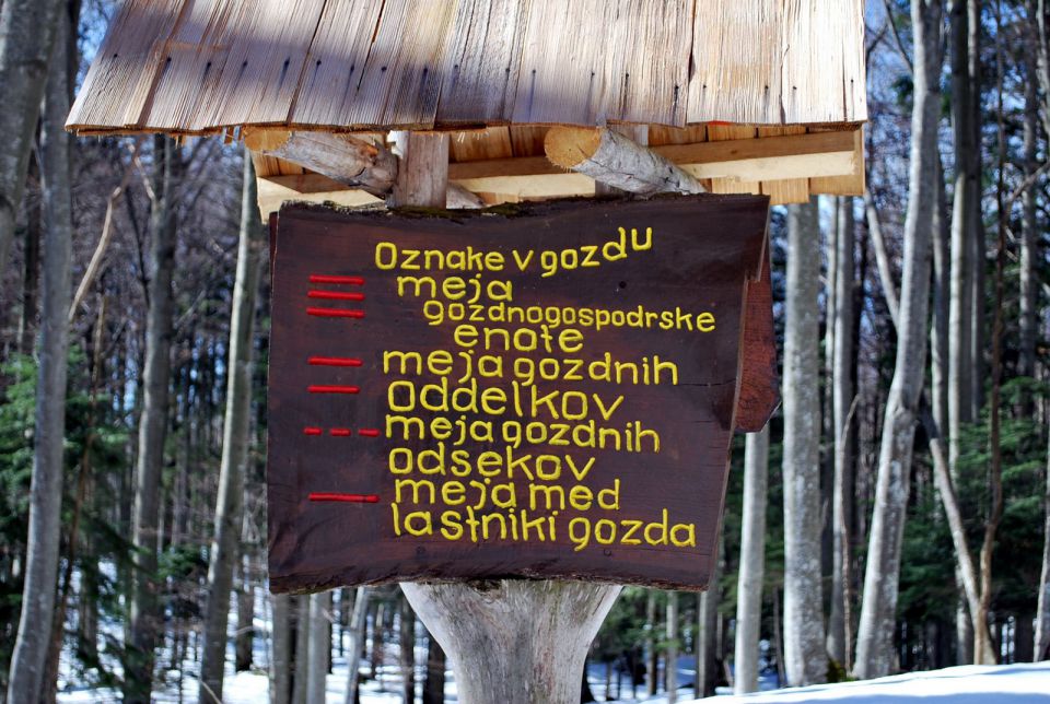 Mirna gora 27.2.2010 - foto povečava