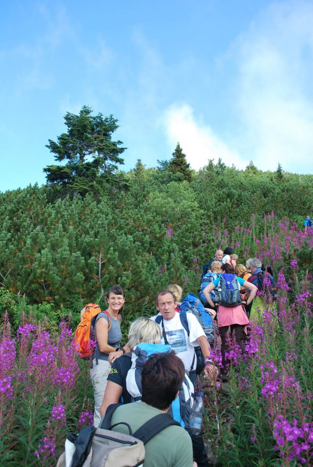 Raduha in Snežna jama 21.8.2010 - foto povečava