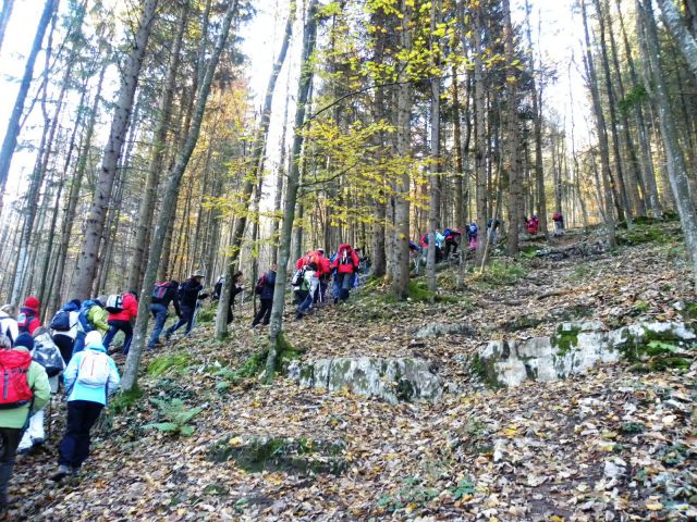 Vrhovi nad Kočevjem 30.10.2010 - foto