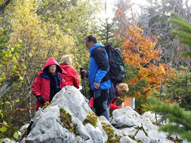 Vrhovi nad Kočevjem 30.10.2010 - foto