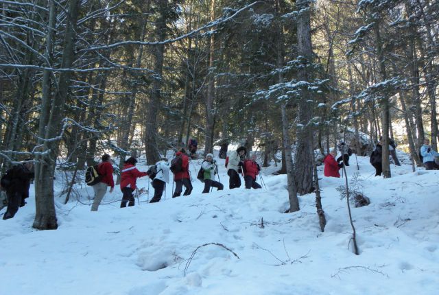 Planinski muzej in Peričnik 11.12.2010 - foto