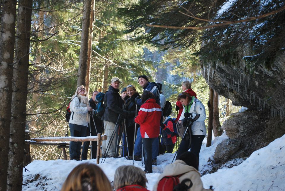 Planinski muzej in Peričnik 11.12.2010 - foto povečava