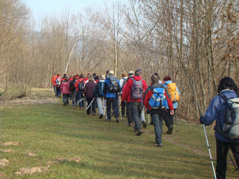 Skupinica ob Poljanski Sori