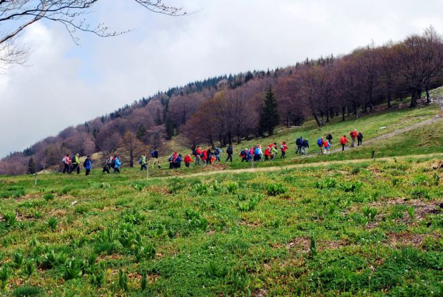 Še zadnji vzpon pod Humom in planine Cimprovke se nam bodo prikazale