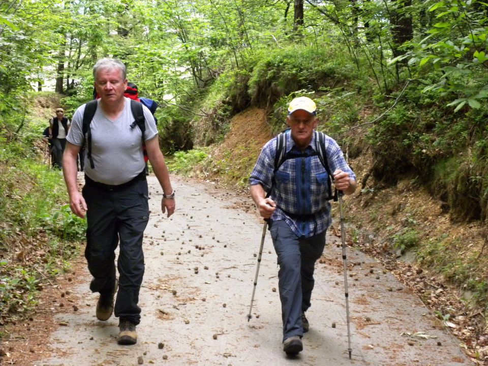 Ste dvomili, na čelu vodnik Miro in naš Cekinček