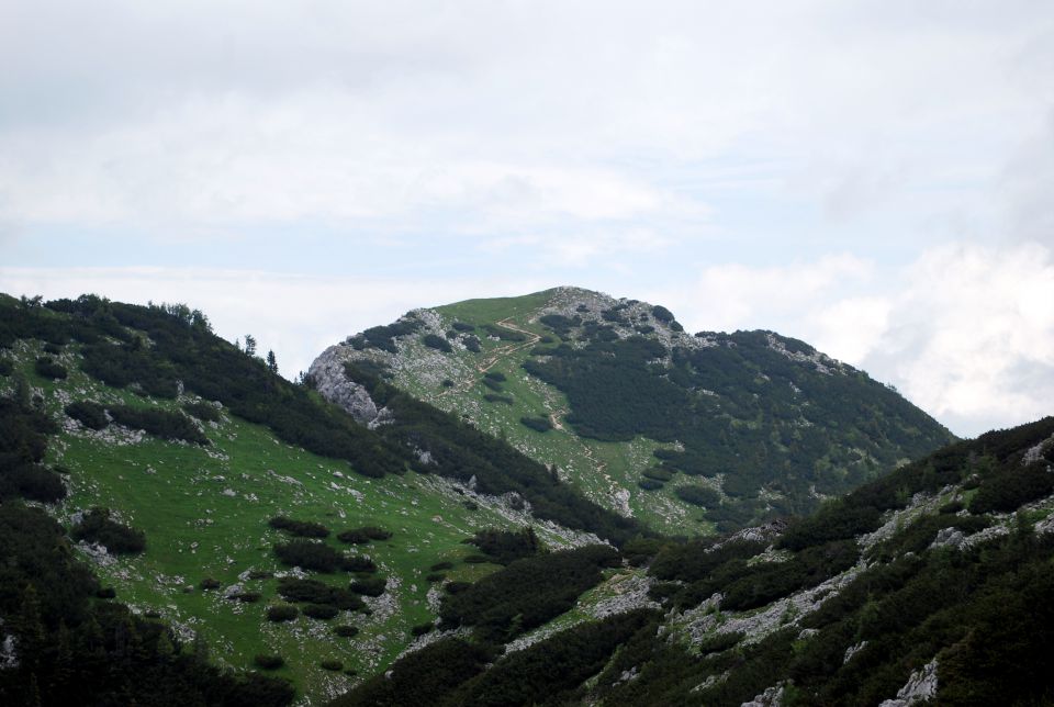 Takole nam je pozirala, ko smo se pod Brdom obrnili v levo