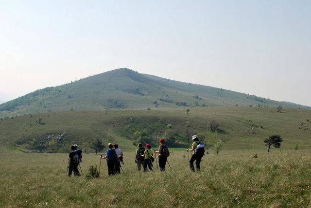 In že jo mahamo proti Goliču