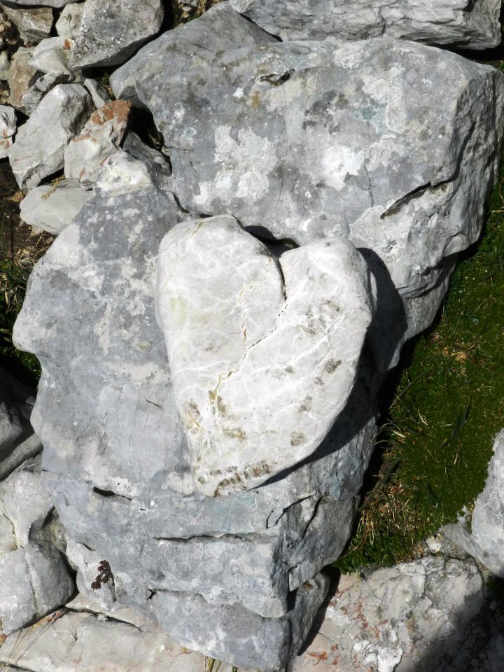 Naša srca niso okamenela, ampak radostno vzdrhtela