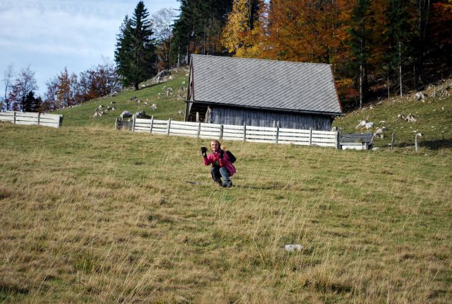 Milica pa kot mlada srnica v breg in po dežnikarice