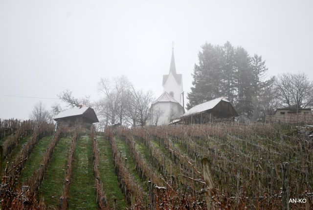 Mimo vinogradov smo zapuščali našo najvišjo točko