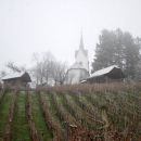 Mimo vinogradov smo zapuščali našo najvišjo točko