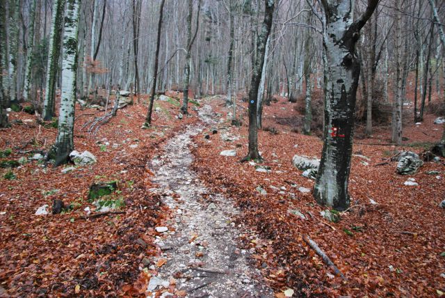 Lepo označena, s kamenjem 