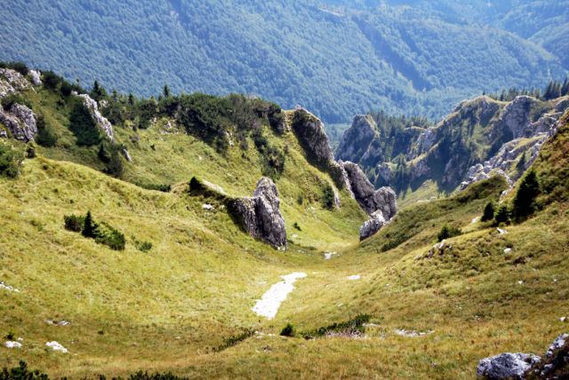 Kontrast zelene, sive in bele barve, naravni prehodi