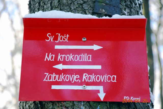 Samo na krokodila ne