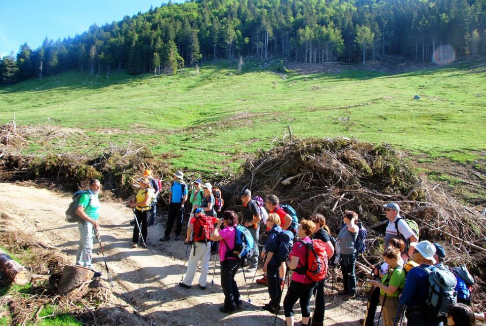 Ne, to niso sladi žleda, temveč čiščenja planine Pusti rovt