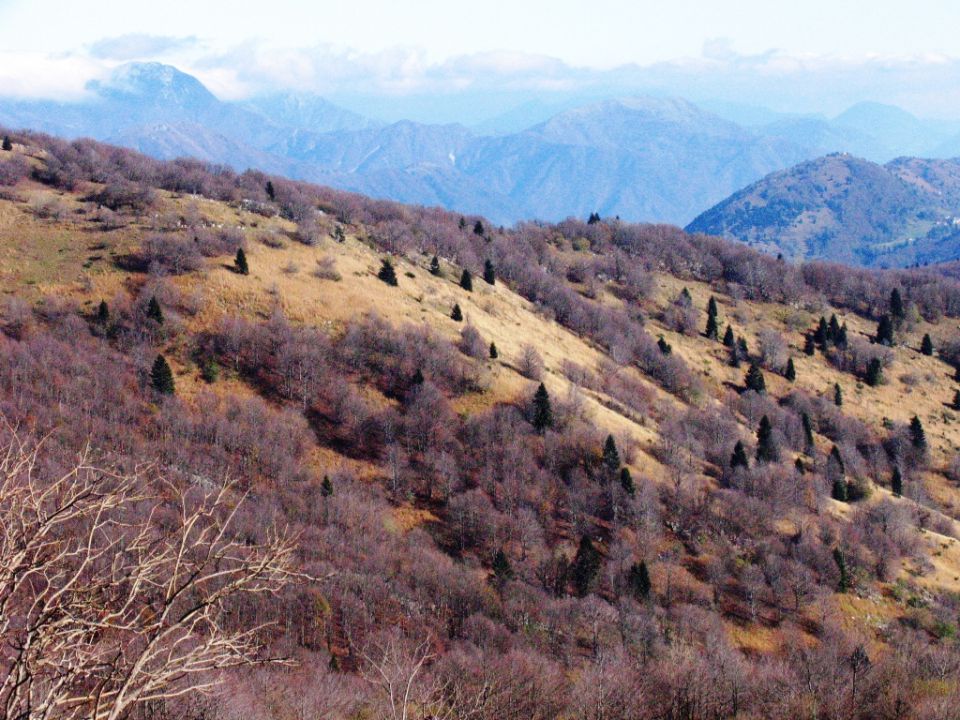 Matajur 25.10.2014 - foto povečava