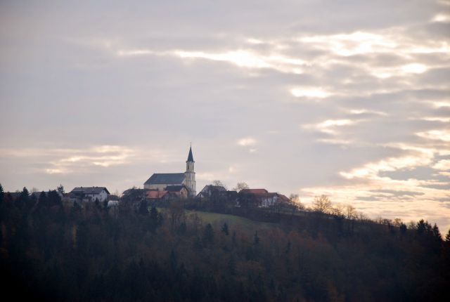 Vasica Razbor na nasproti planoti