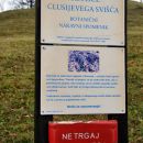 Rastišče, ki je konec aprila ali v začetku maja  vredno ogleda