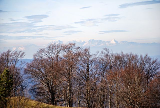 Kamniško - Savinjske Alpe v ozadju