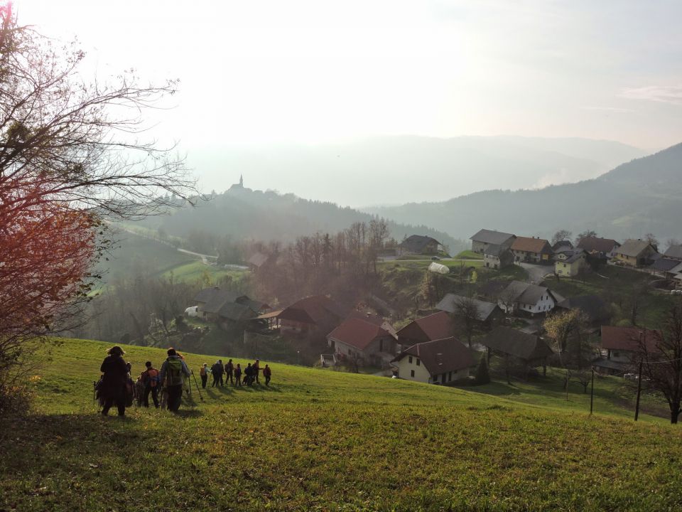 Tik nad vasico Razbor