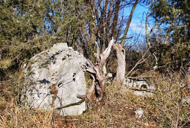 Tihožitje lesa in kamna, le vode ni nikjer, razen v štirnah in kalih