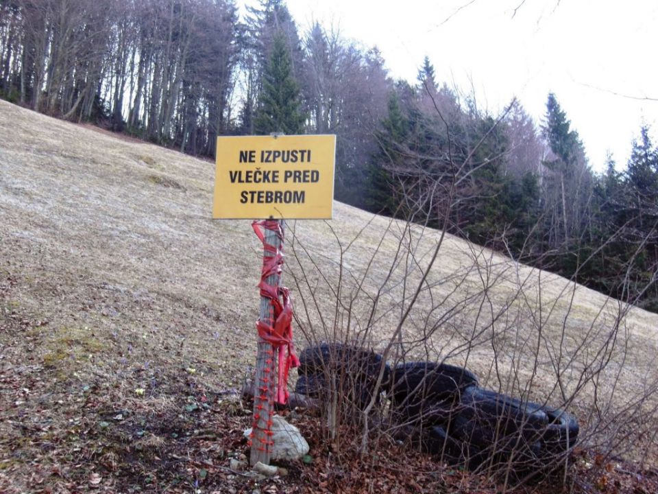 Čemšeniška planina 28.3.2015 - foto povečava
