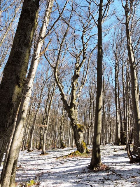 Čemšeniška planina 28.3.2015 - foto