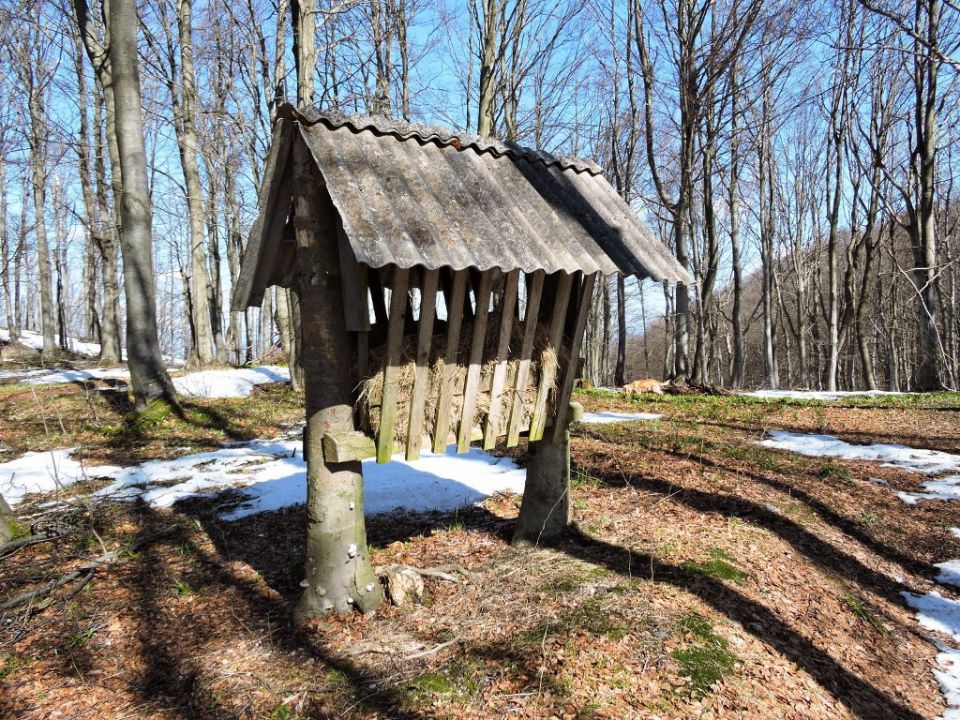 Čemšeniška planina 28.3.2015 - foto povečava