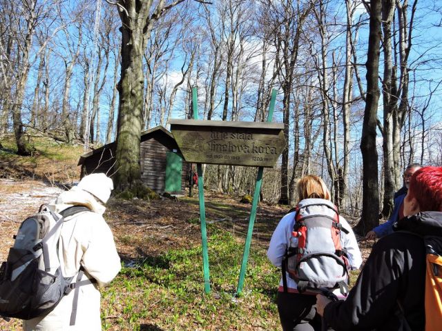 Čemšeniška planina 28.3.2015 - foto