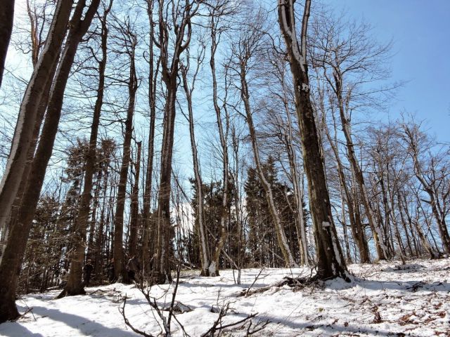 Čemšeniška planina 28.3.2015 - foto