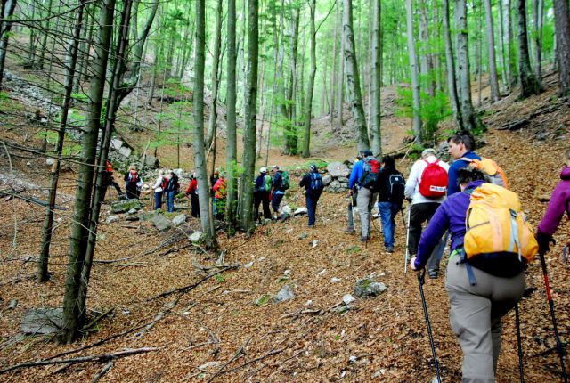 Čaven - Kucelj 18.5.2015 - foto