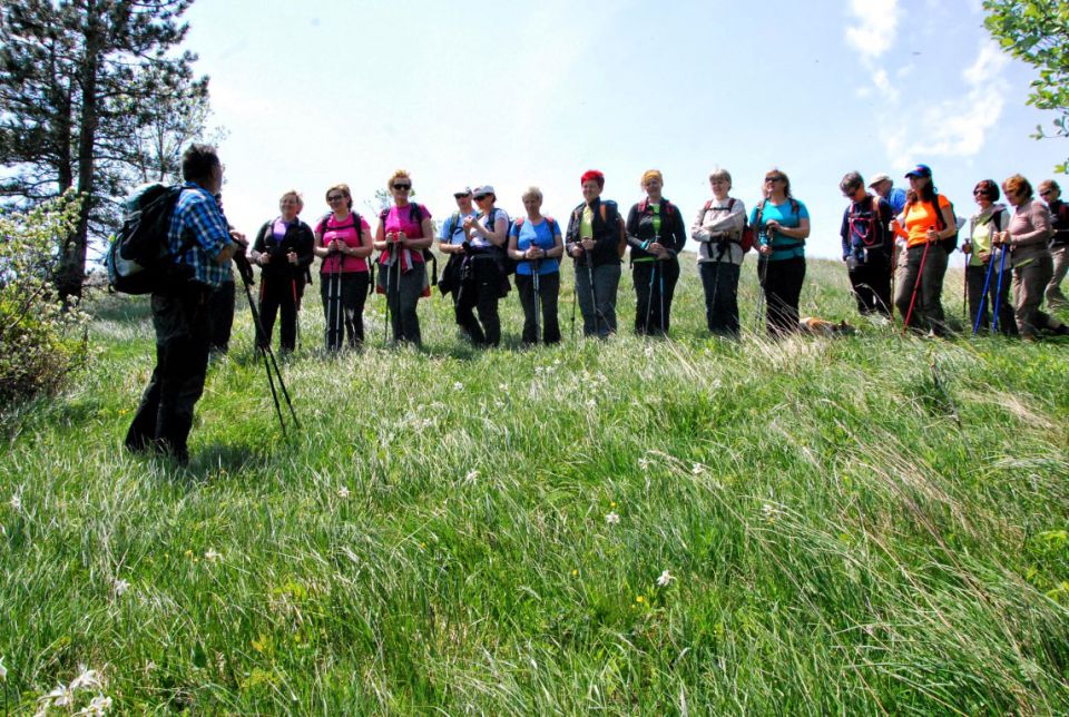 Čaven - Kucelj 18.5.2015 - foto povečava