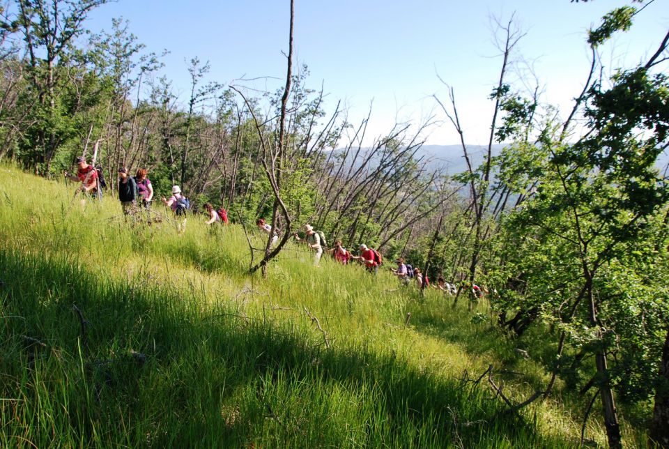 Slavnik 6.6.2015 - foto povečava