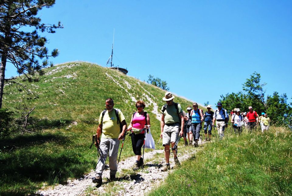 Slavnik 6.6.2015 - foto povečava