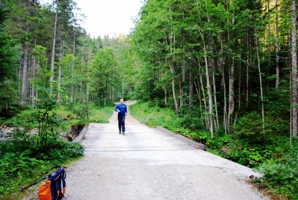 Matkov škaf 18.7.2015 - foto povečava