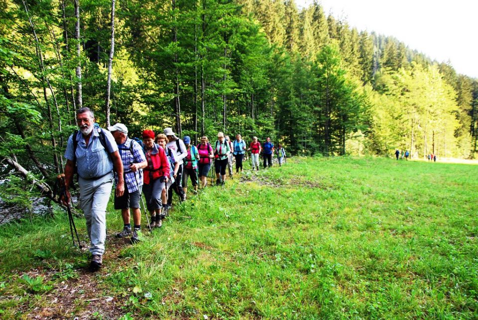 Matkov škaf 18.7.2015 - foto povečava