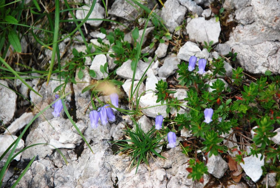 Matkov škaf 18.7.2015 - foto povečava