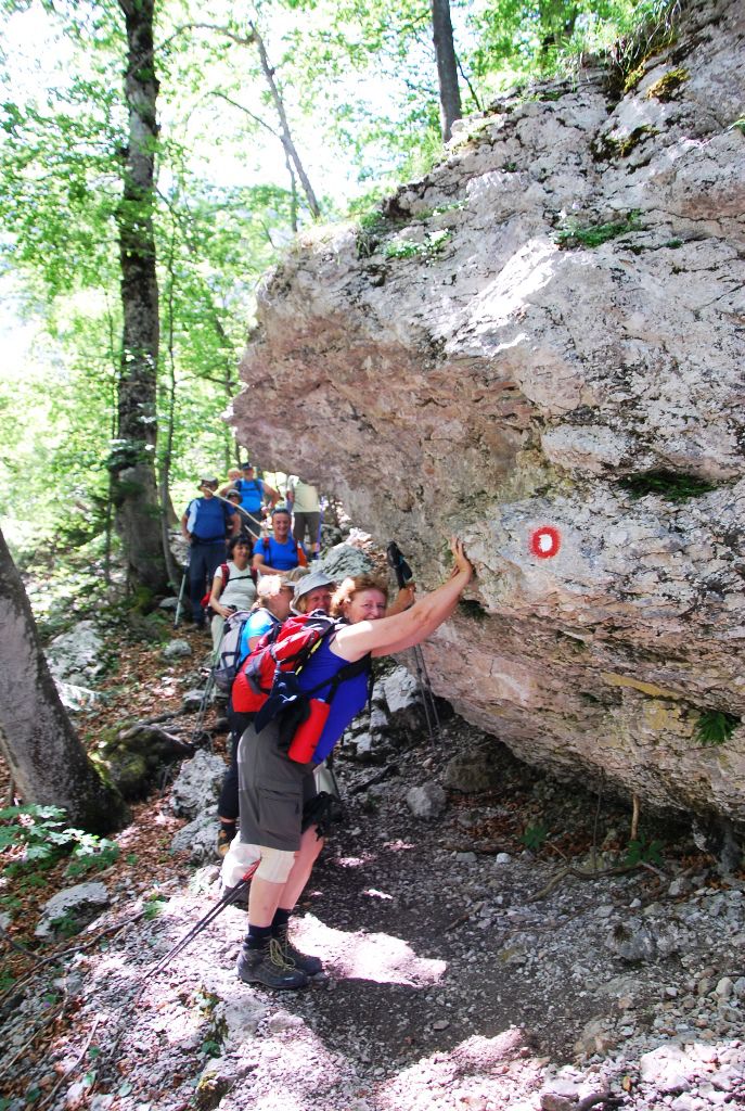 Matkov škaf 18.7.2015 - foto povečava