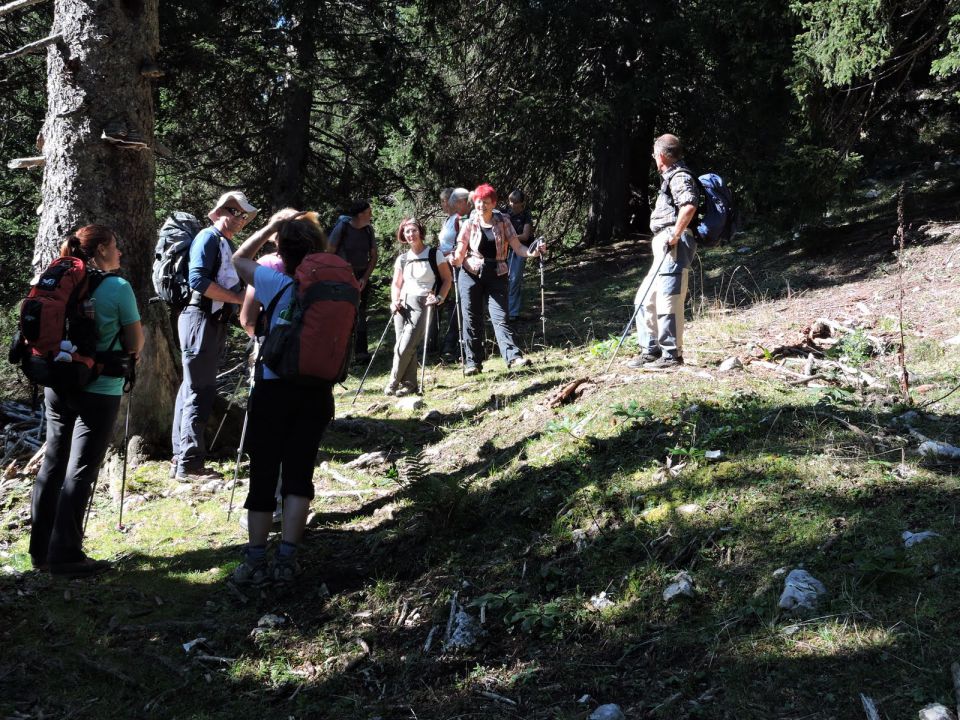 Sleme nad Mojstrano 12.9.2015 - foto povečava