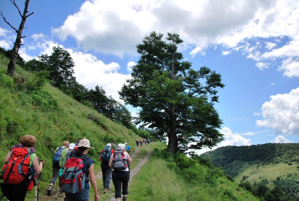 Mrzli vrh 28.6.2015 - foto povečava