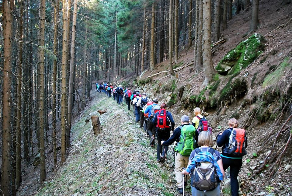 Kranjska reber 7.11.2015 - foto povečava