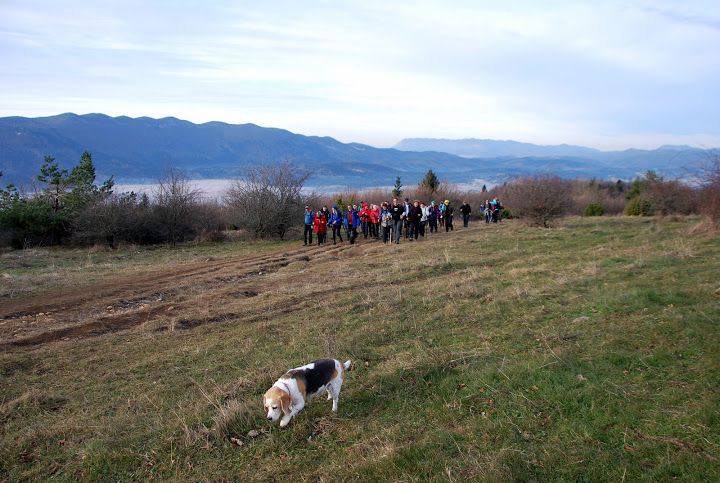 Slivnica 12.12.2015 - foto povečava